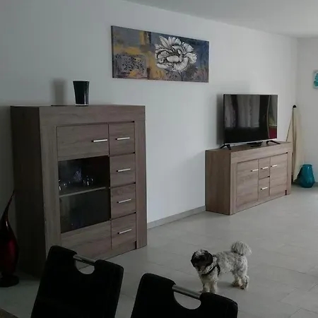 Prázdninový dům Modern Retreat Todtmoos